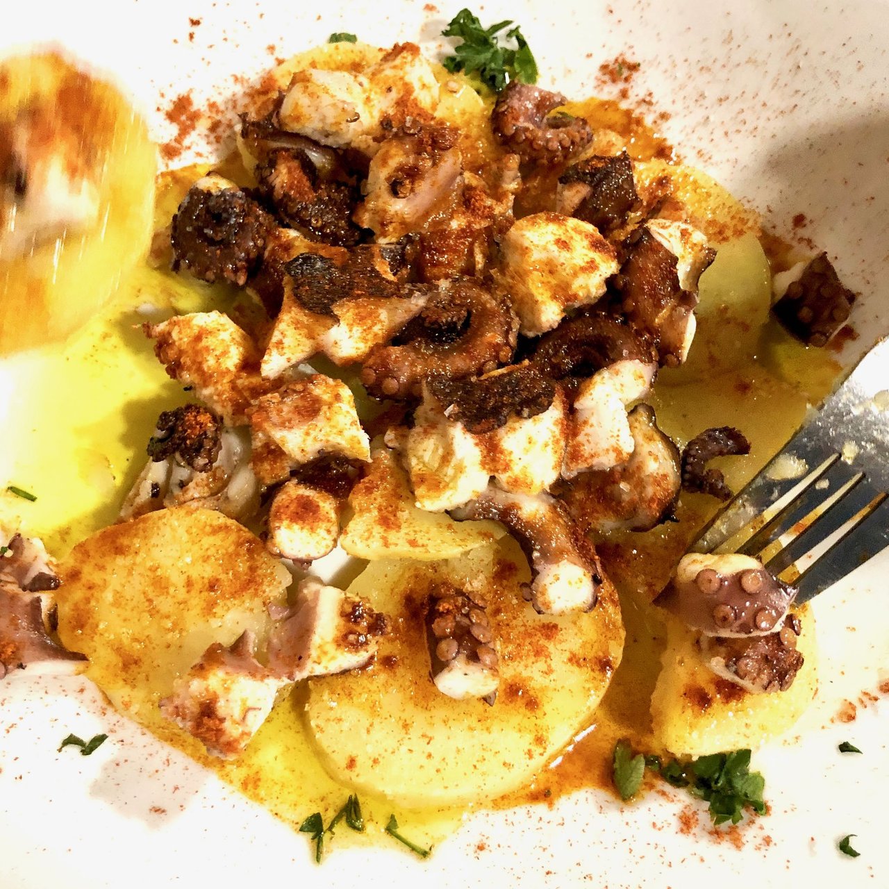 Octopus with potatoes, overhead